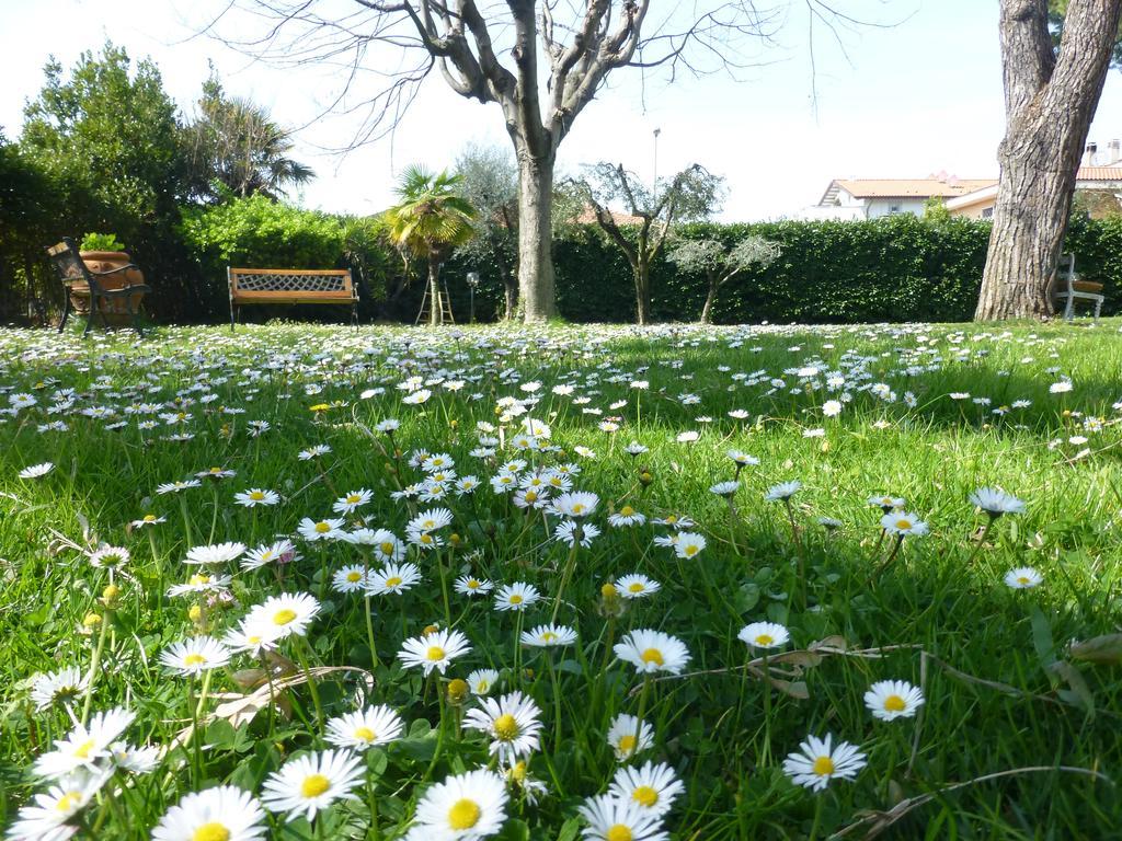 B&B Villa Acero Marina Di Carrara Eksteriør billede
